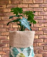 2 Pack Shade of Green Pattern Pot Plant Holders