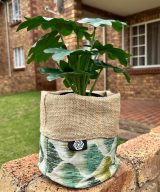 2 Pack Shade of Green Pattern Pot Plant Holders